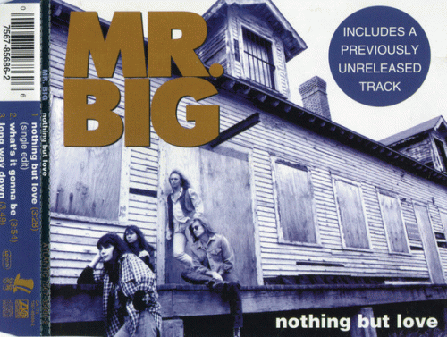 Mr. Big : Nothing But Love